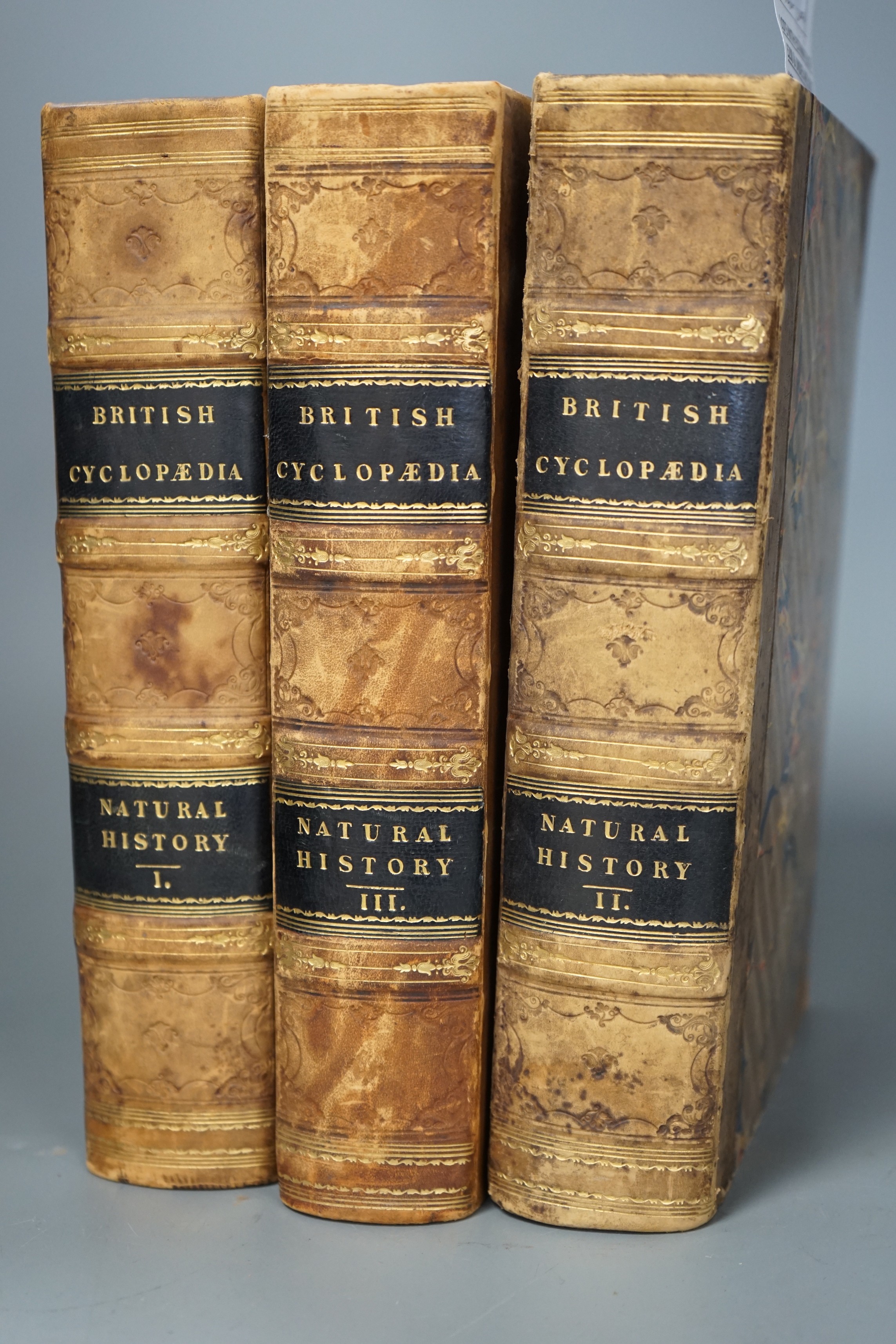 Partington, Charles F. - The British Cyclopaedia of Natural History.... 3 vols. num. engraved plates and text illus., old half calf and marble boards, gilt panelled spines, roy. 8vo. 1835